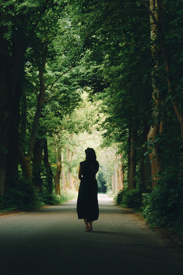 Tree tunnel