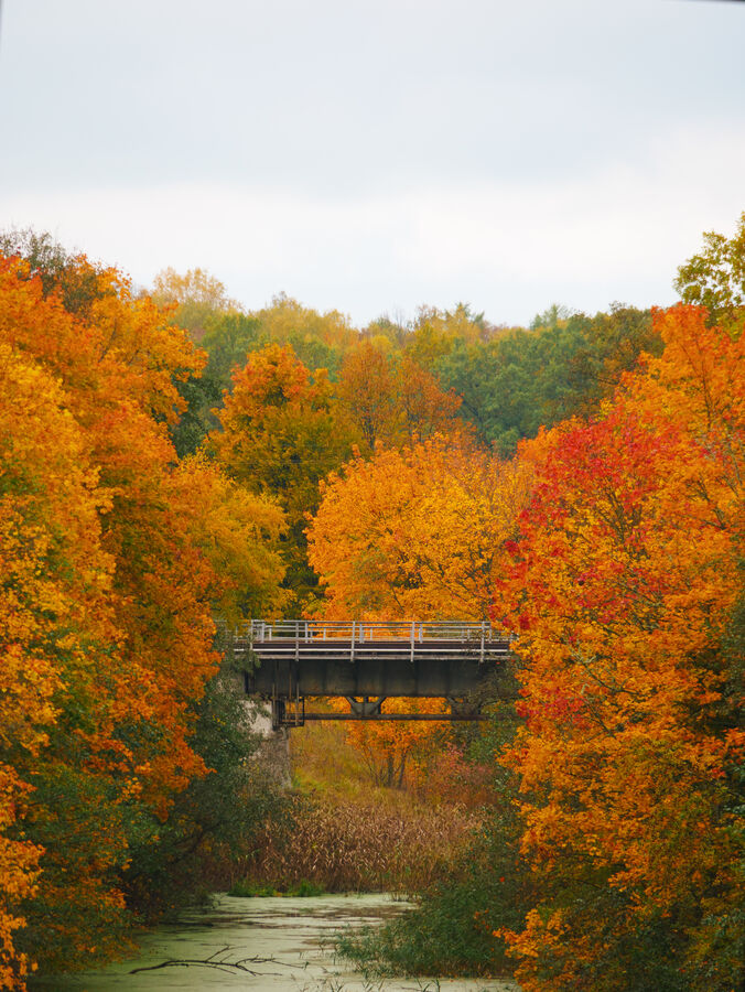 Between autumns