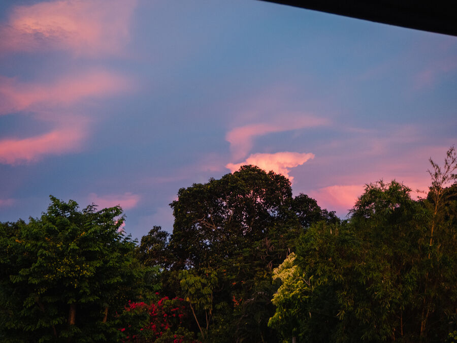 Koh Samui evening goodness