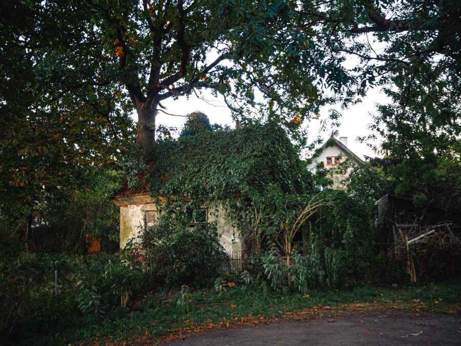 Old house on Curonian Spit