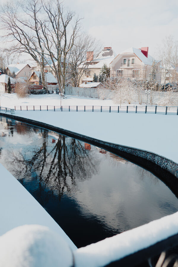 Winter pond