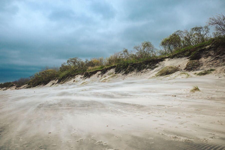 Stormy beach